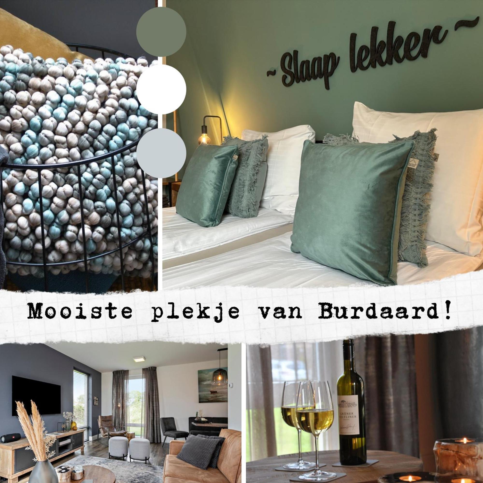 Prachtige Vakantievilla Burdaard Birdaard Exteriör bild